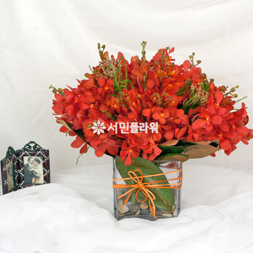 상세이미지