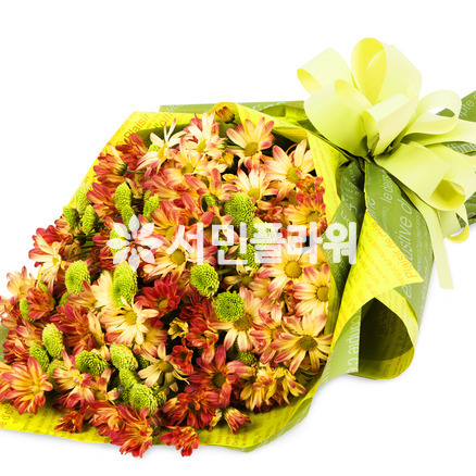 국화다발 러브