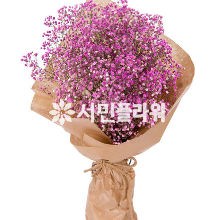 핑크안개다발