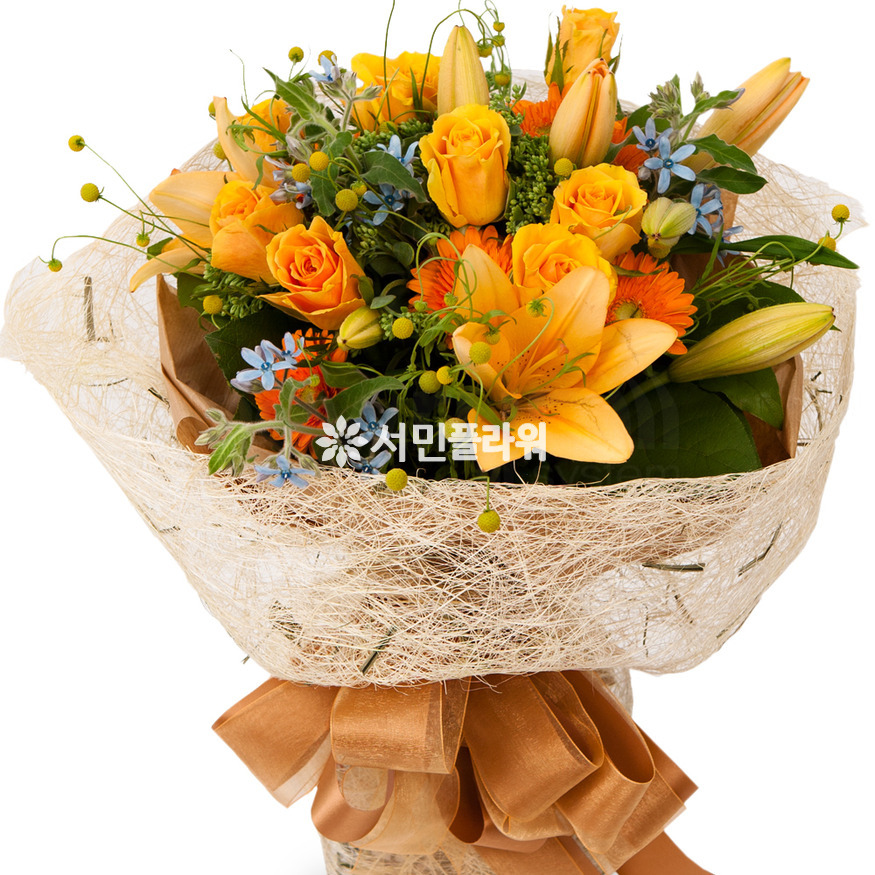상세이미지