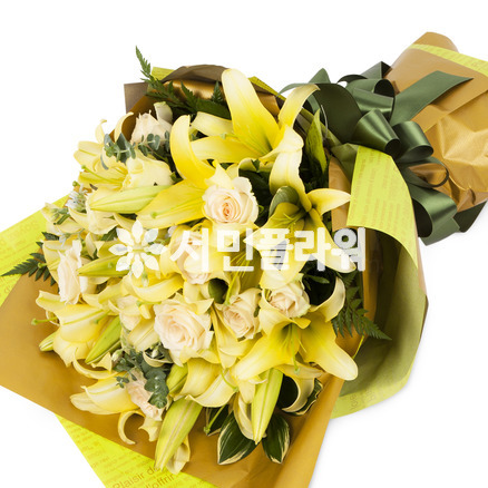 축하합니다