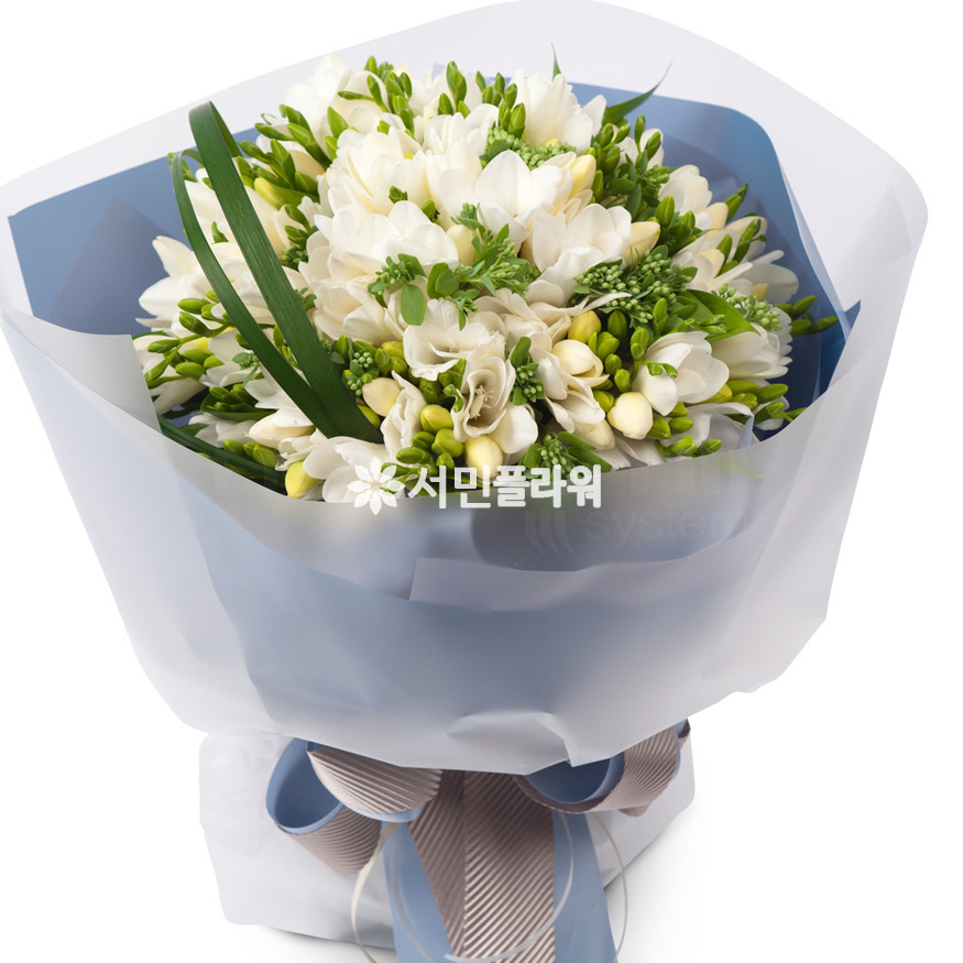 상세이미지