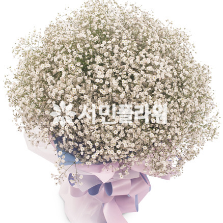 안개꽃다발