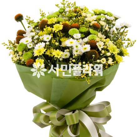 가을빛3