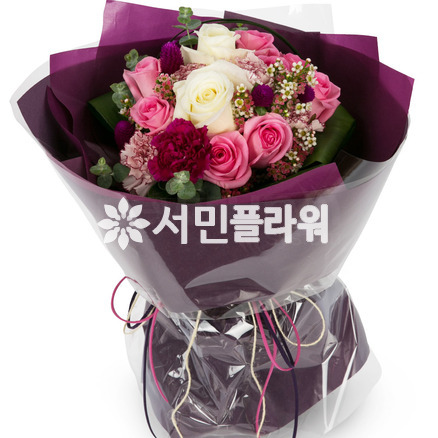 옴니아