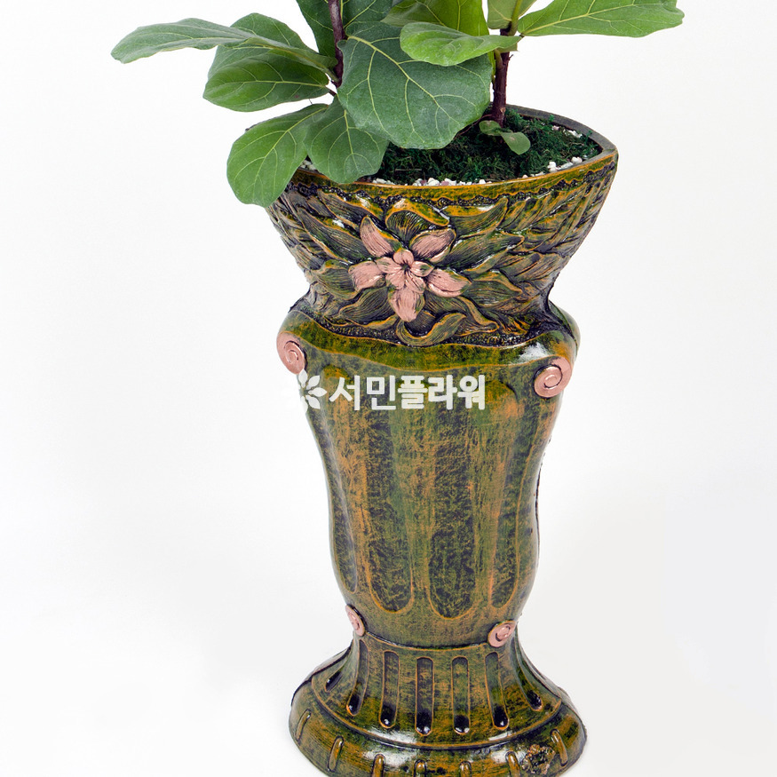 상세이미지