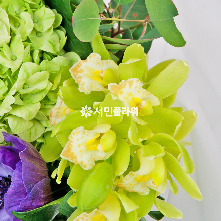 상세이미지