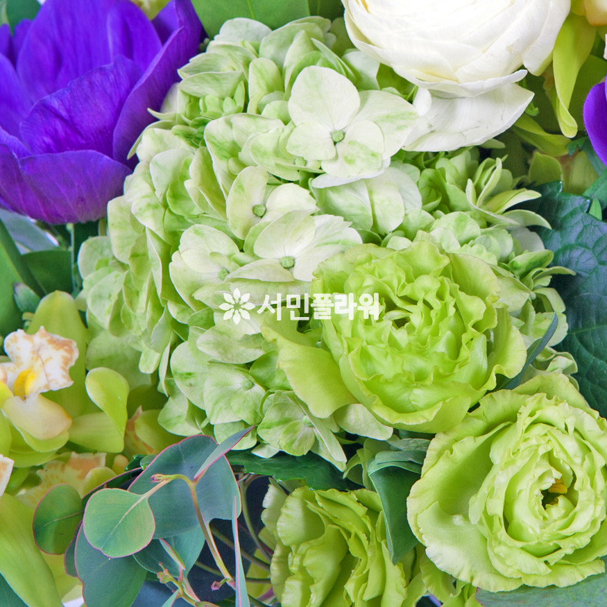 상세이미지