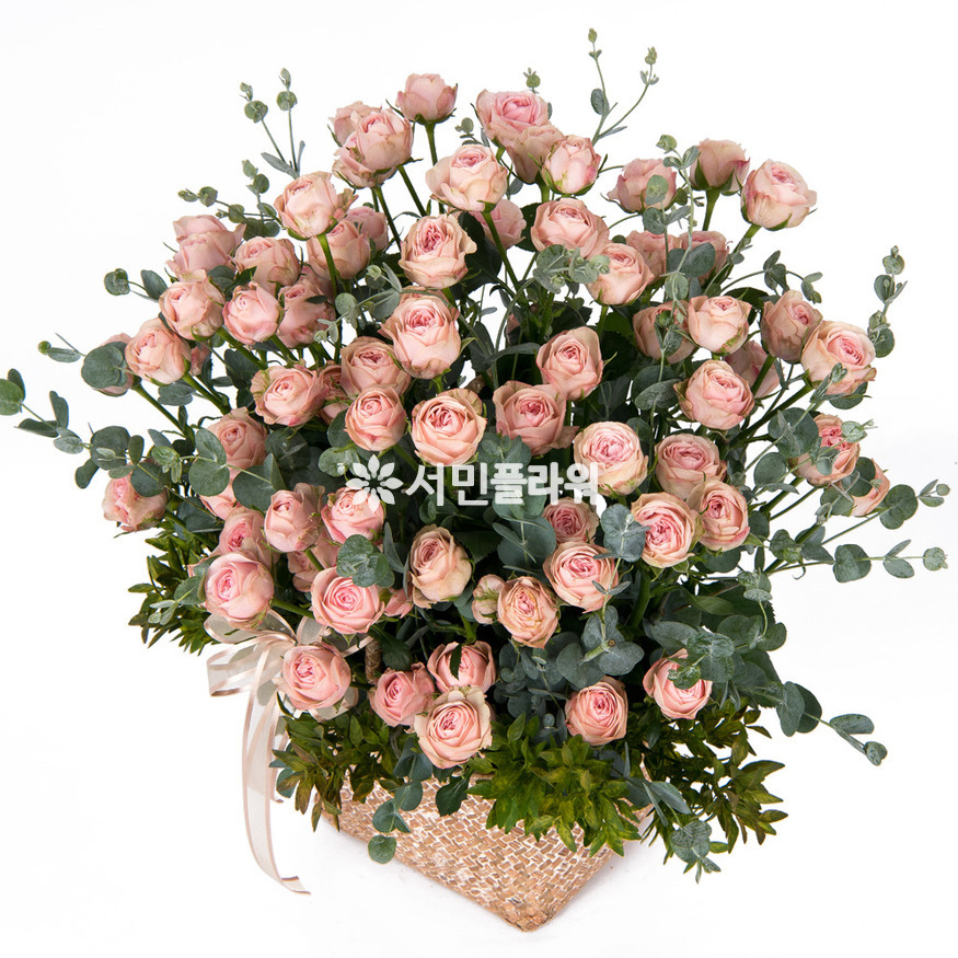 상세이미지
