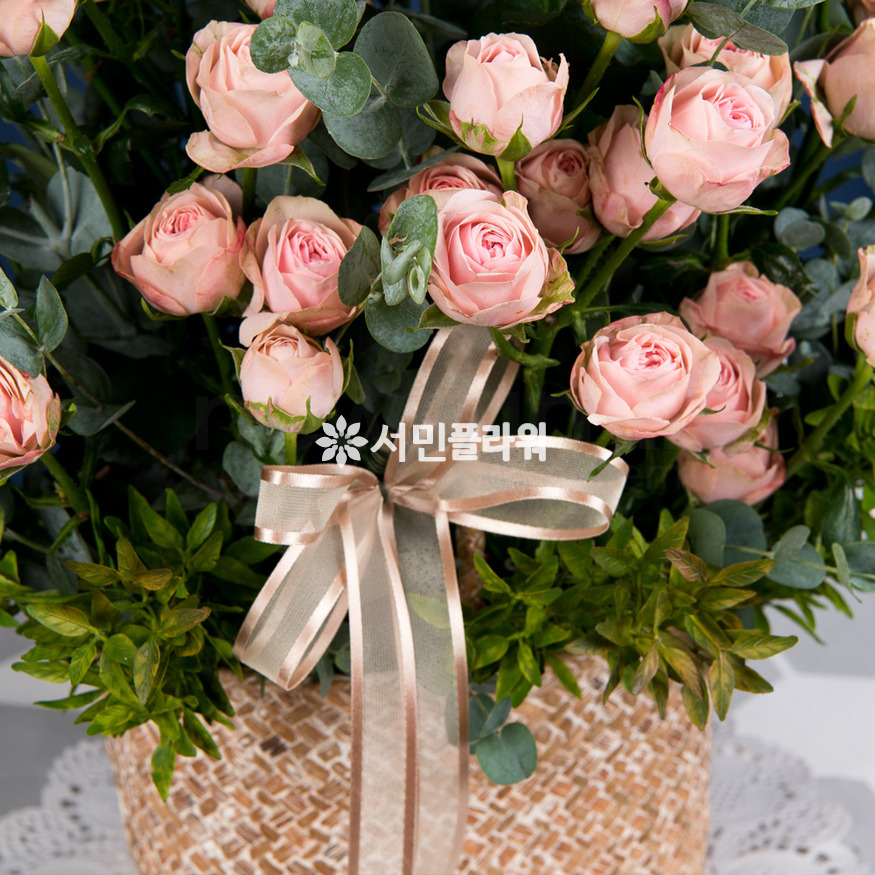 상세이미지