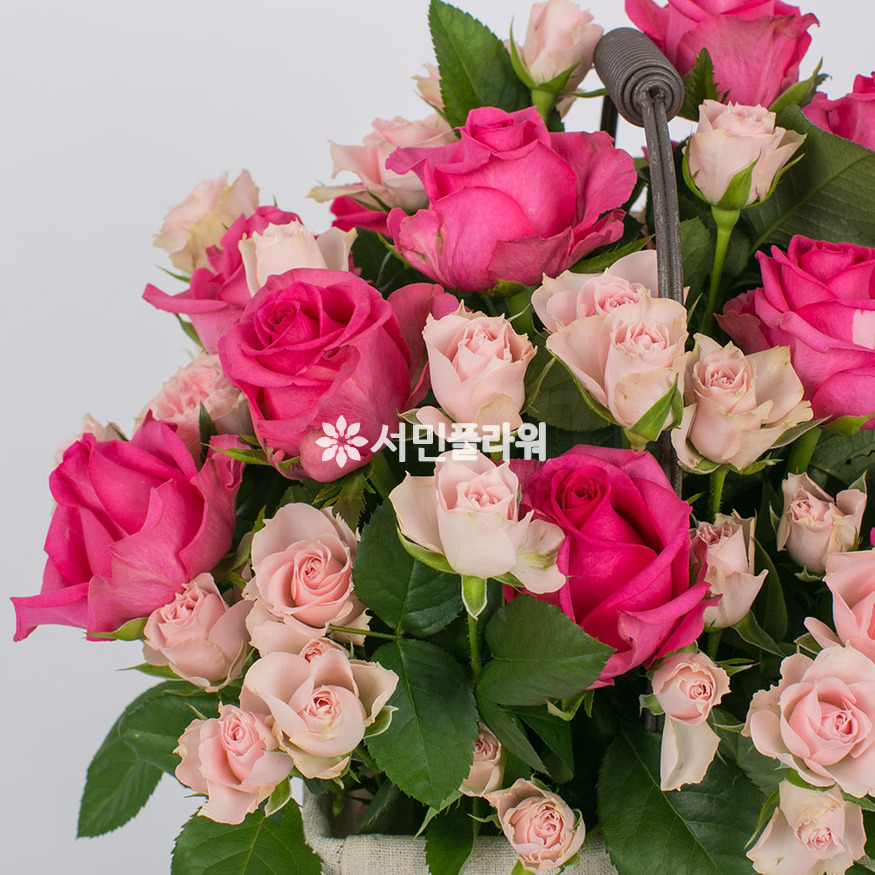 상세이미지