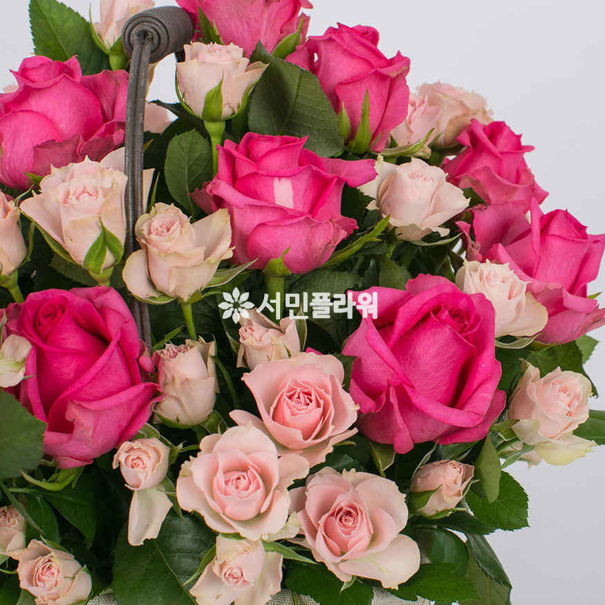 상세이미지