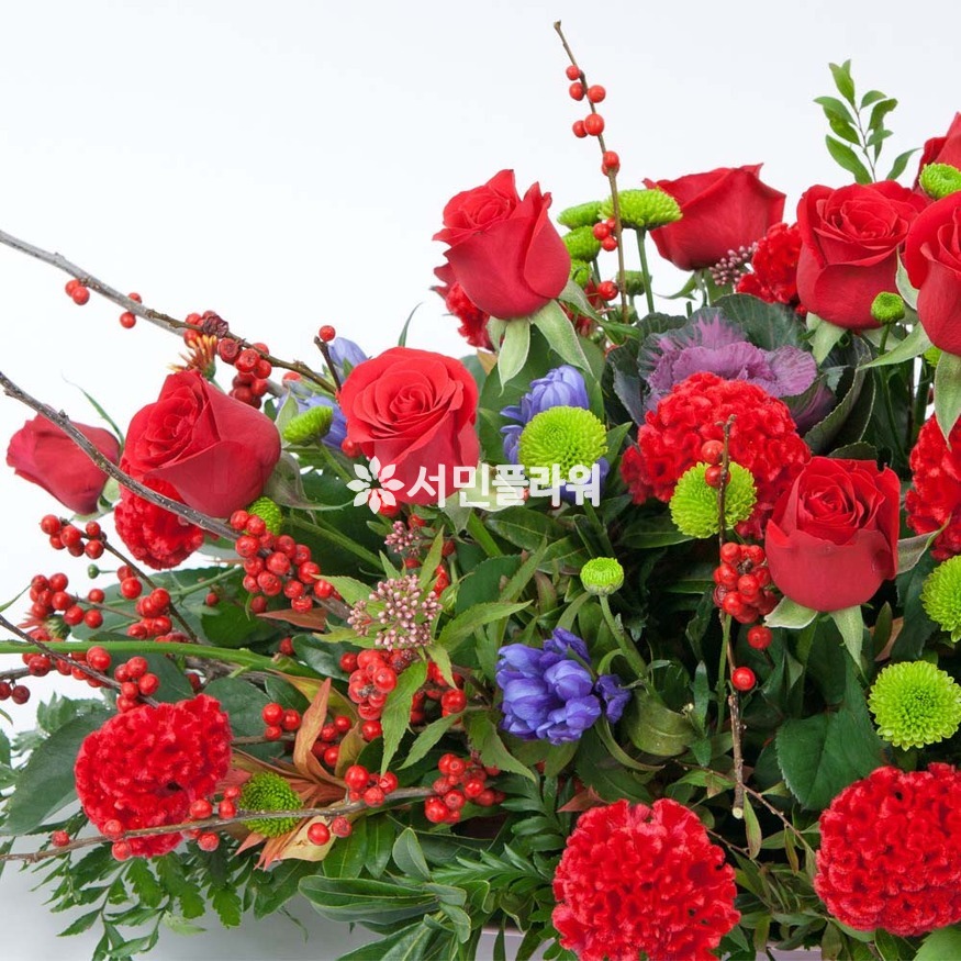 상세이미지