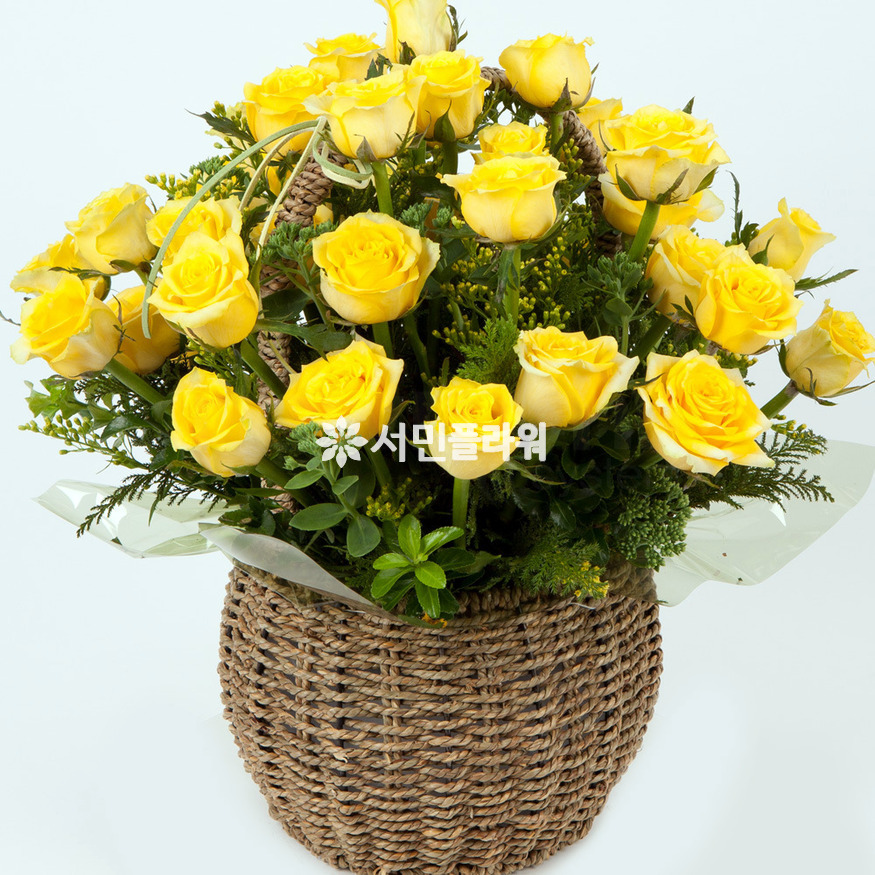 상세이미지