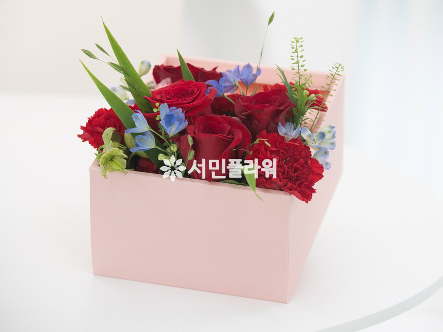 상세이미지