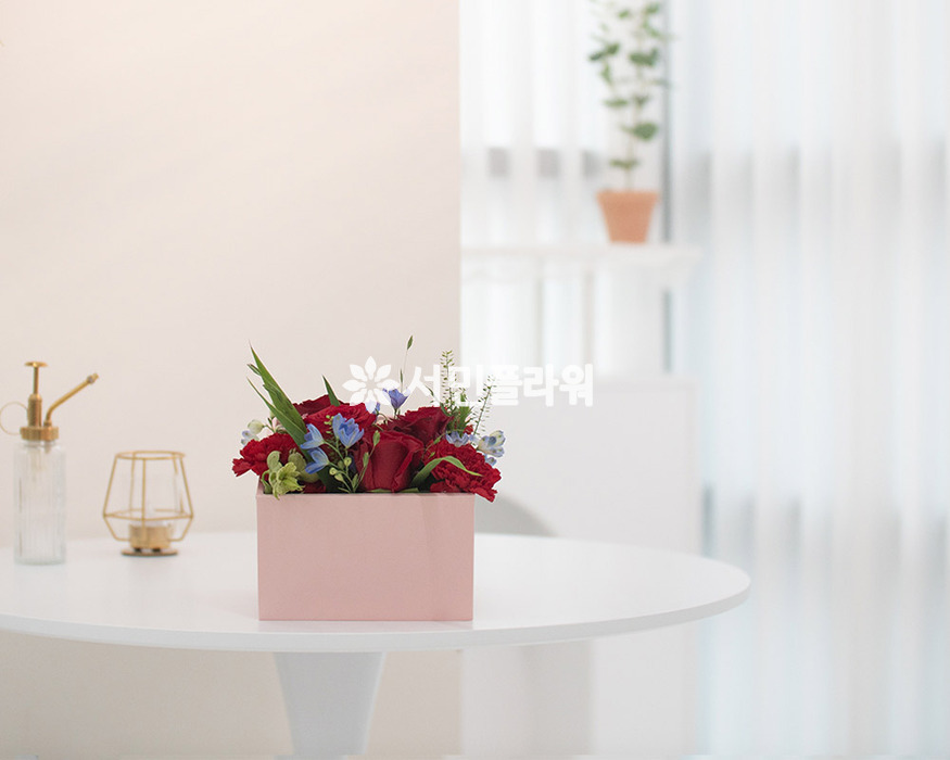 상세이미지
