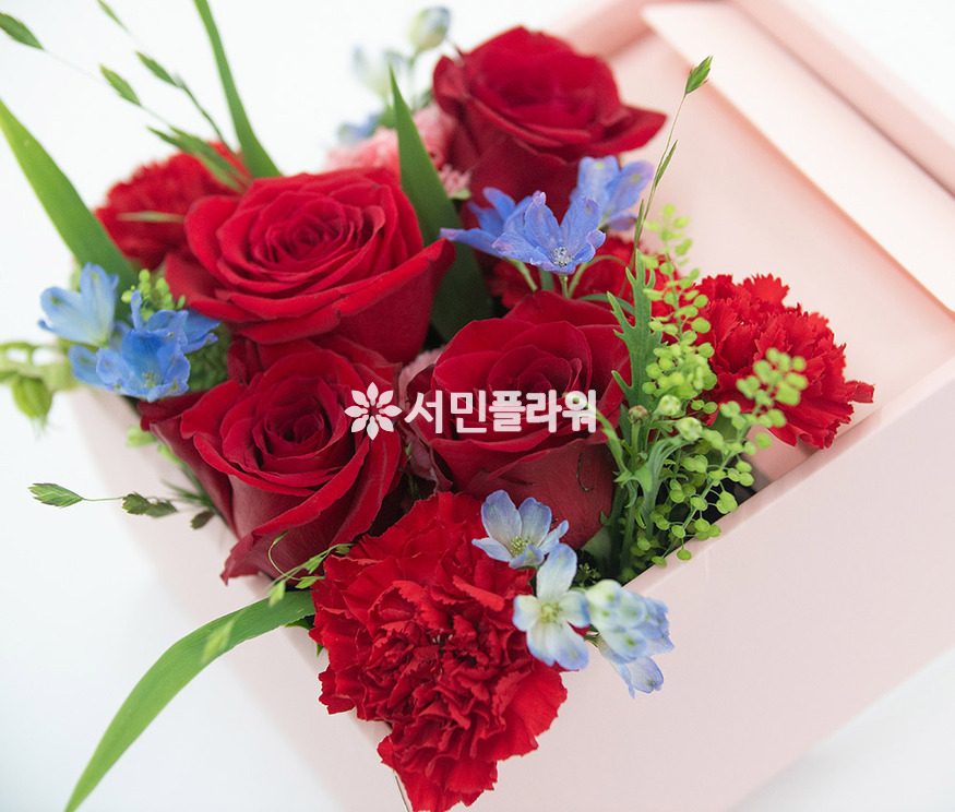 상세이미지