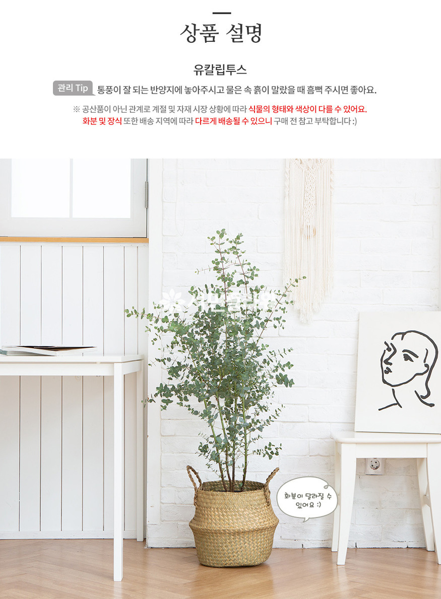 상세이미지