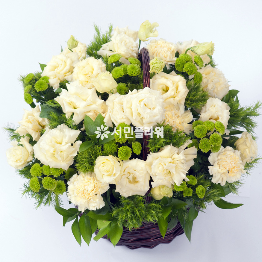 상세이미지