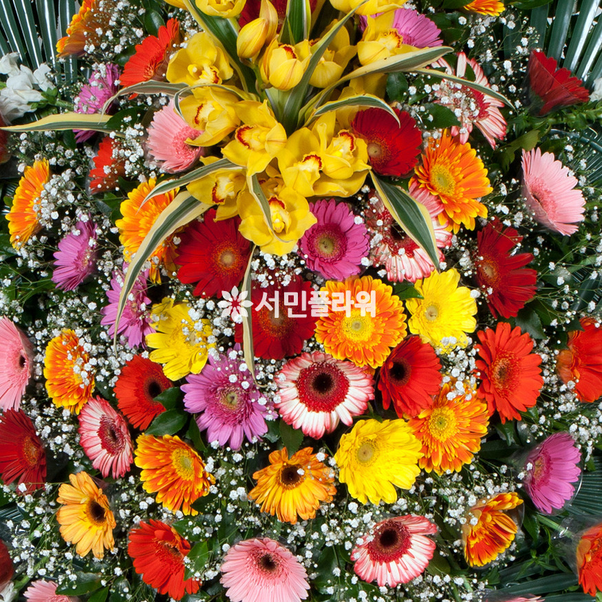 상세이미지