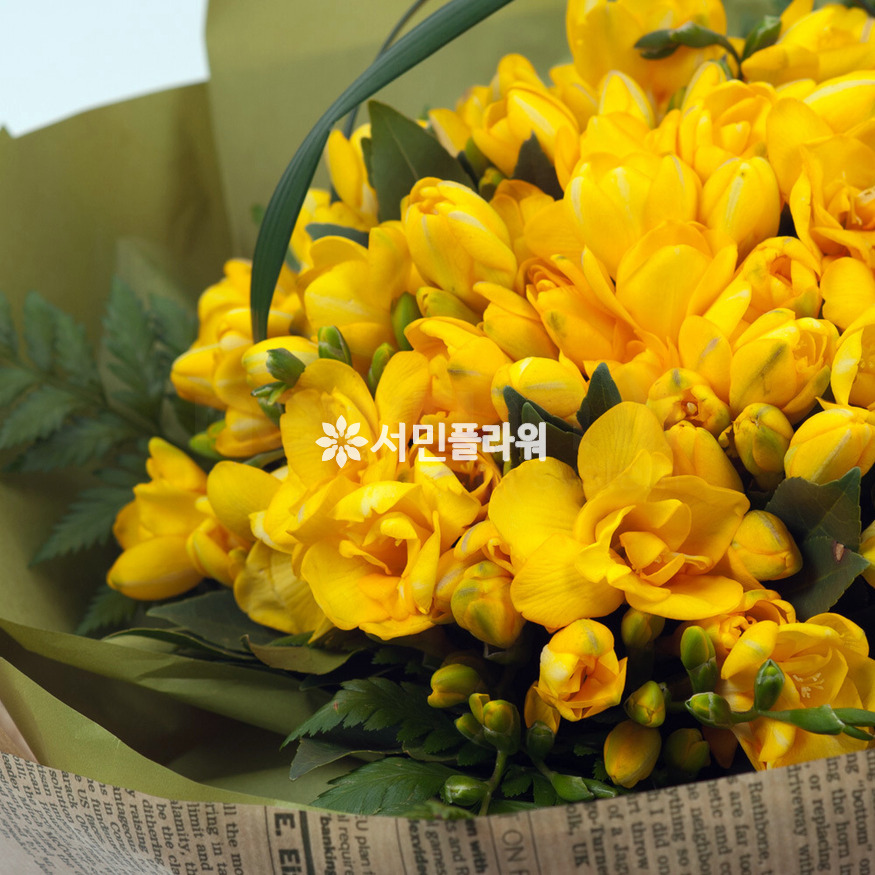 상세이미지