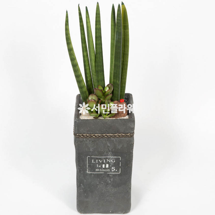 상세이미지