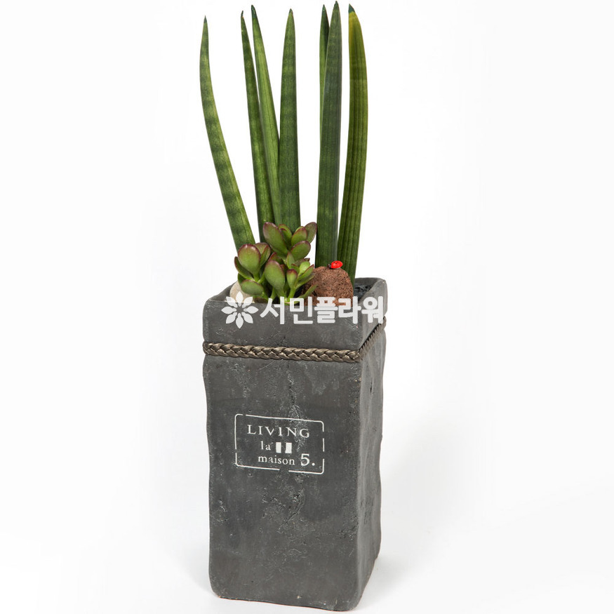 상세이미지