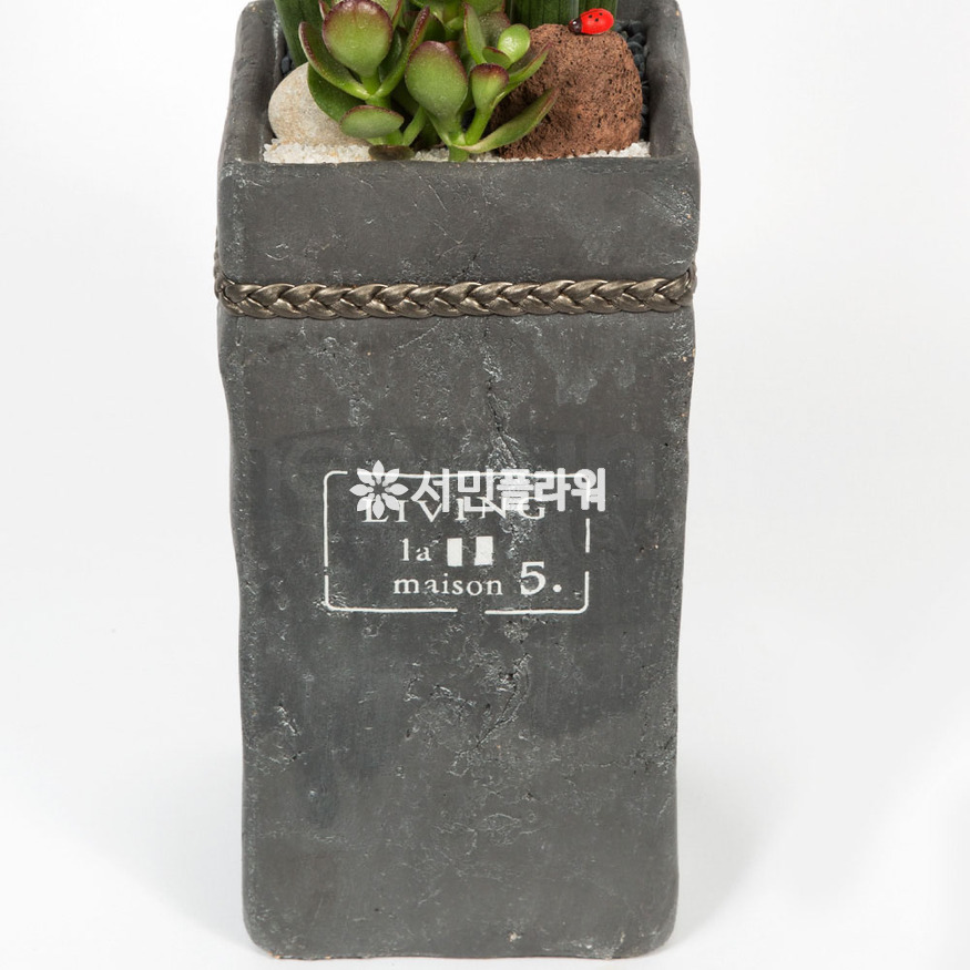 상세이미지