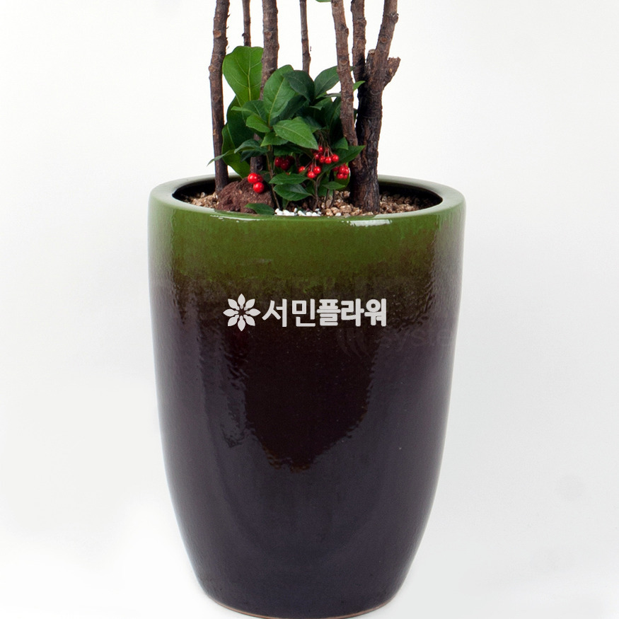 상세이미지
