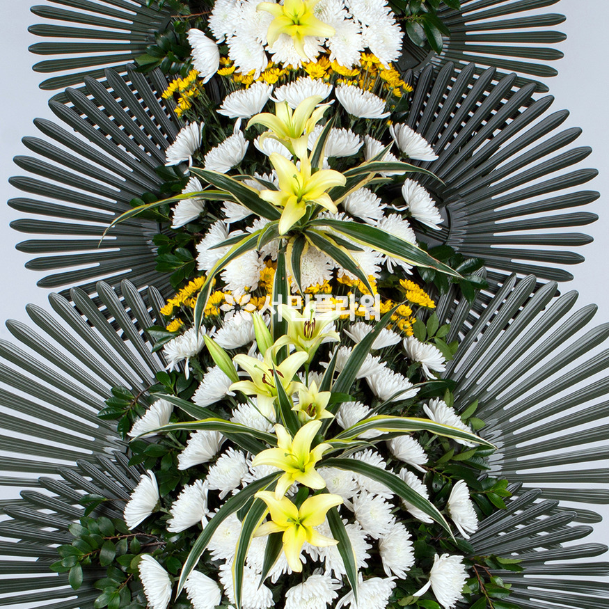 상세이미지