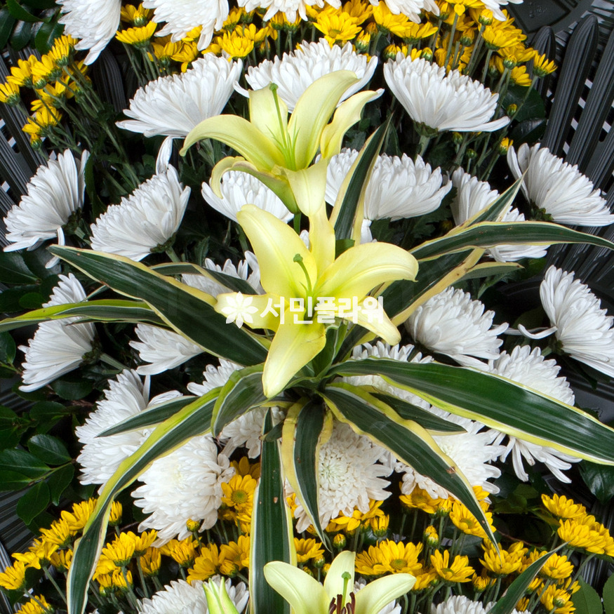 상세이미지