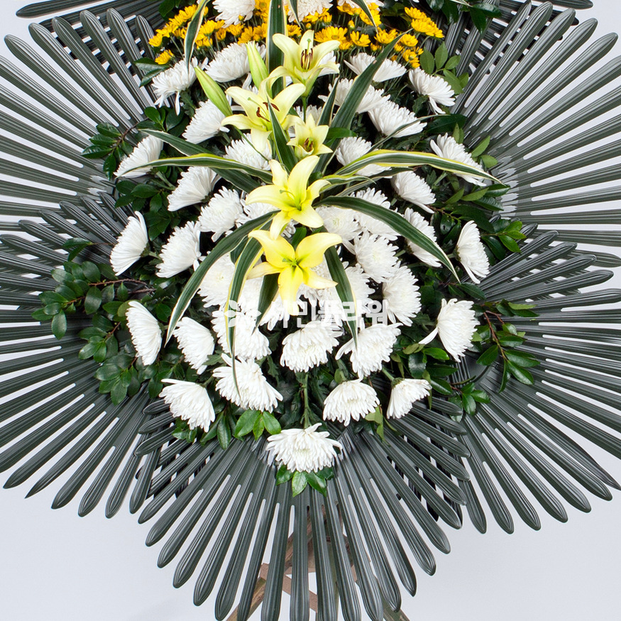 상세이미지