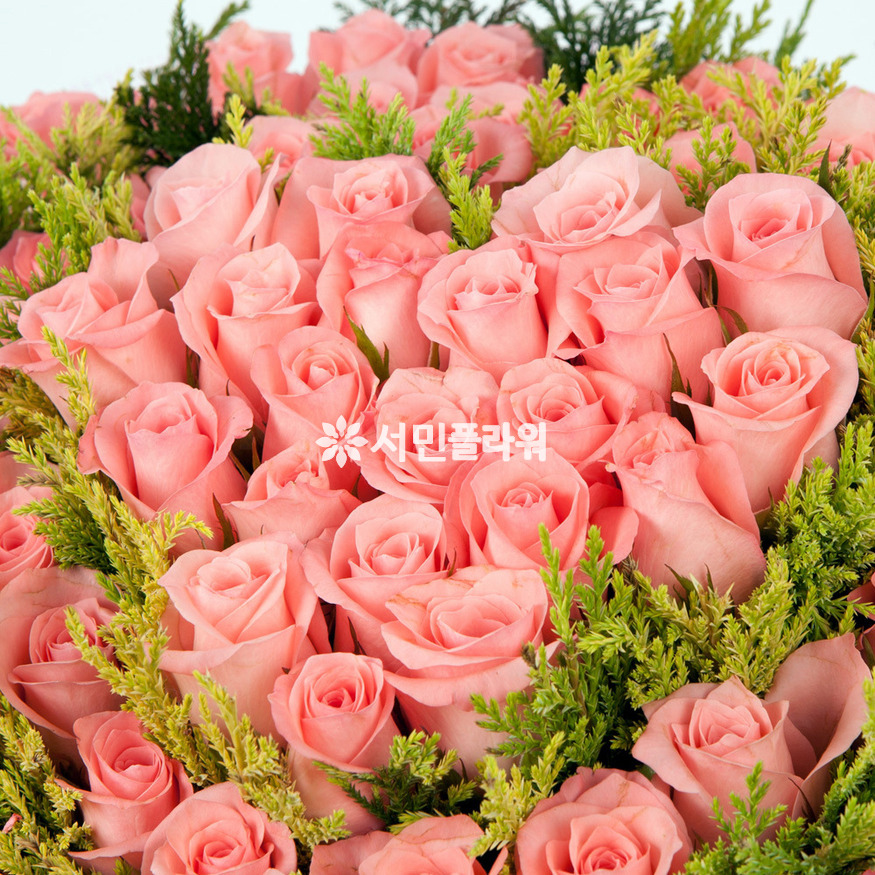 상세이미지