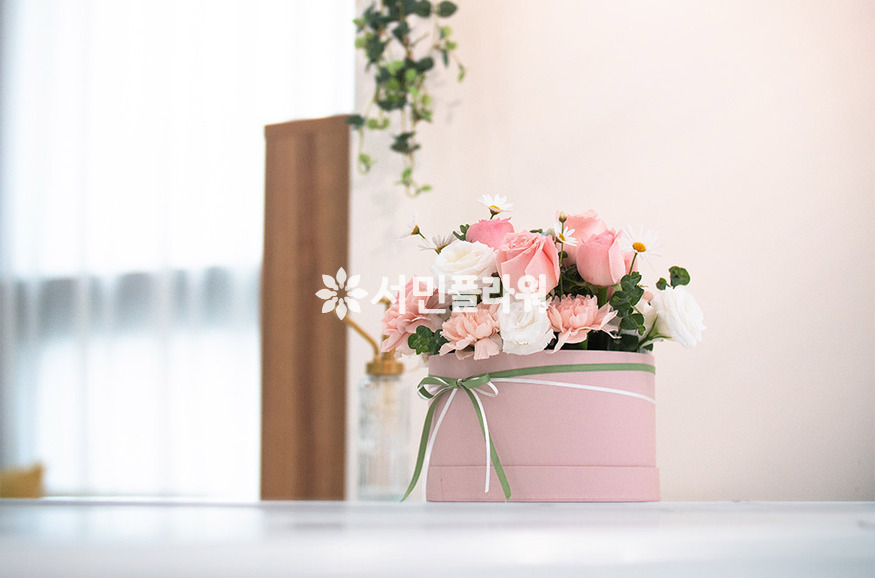 상세이미지
