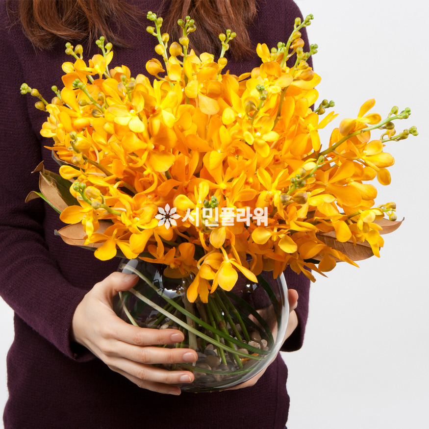 상세이미지
