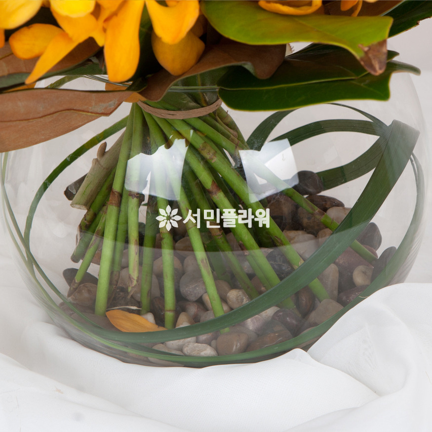 상세이미지