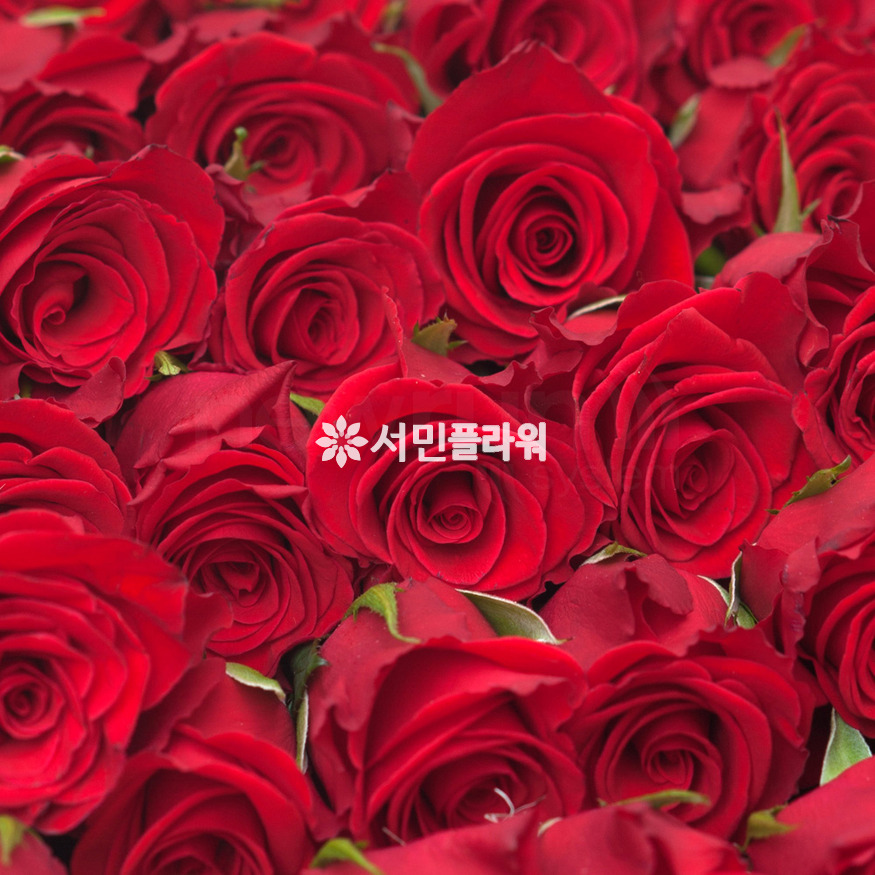 상세이미지