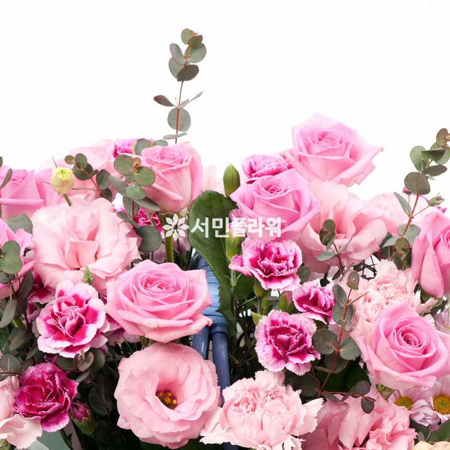 상세이미지