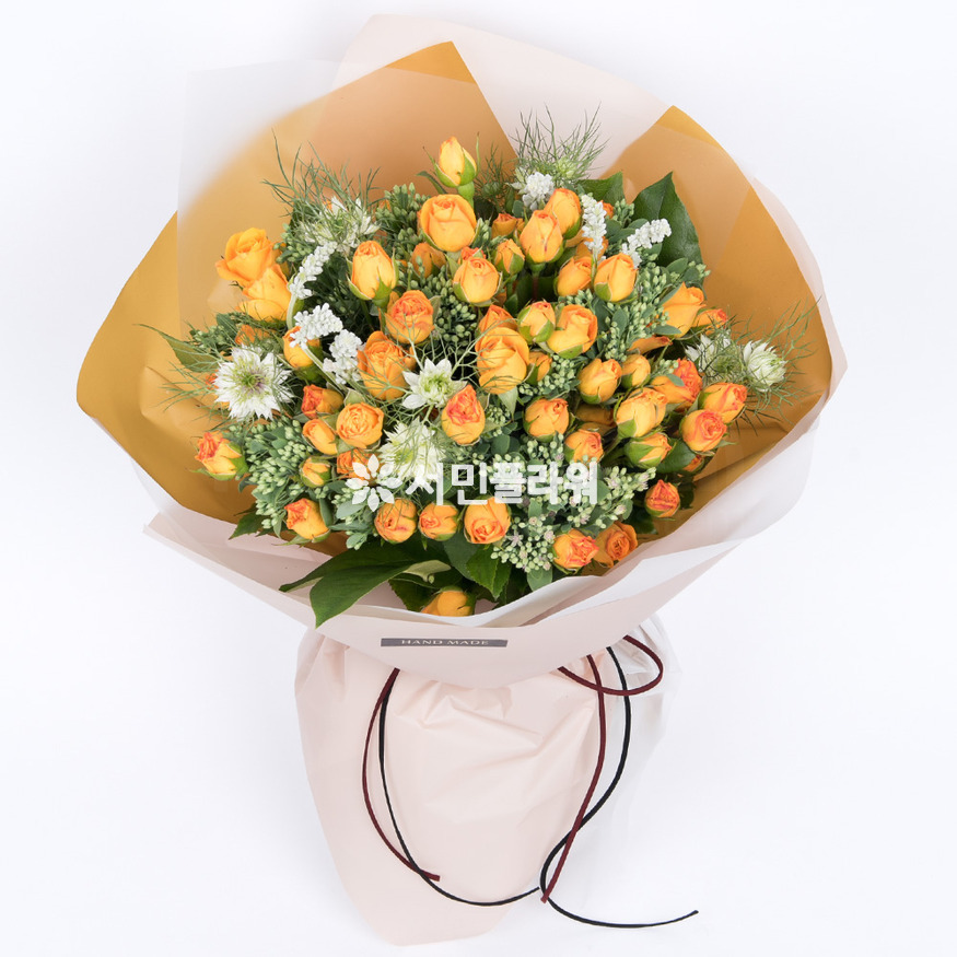 상세이미지