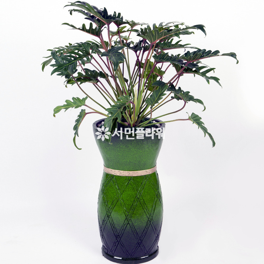 상세이미지