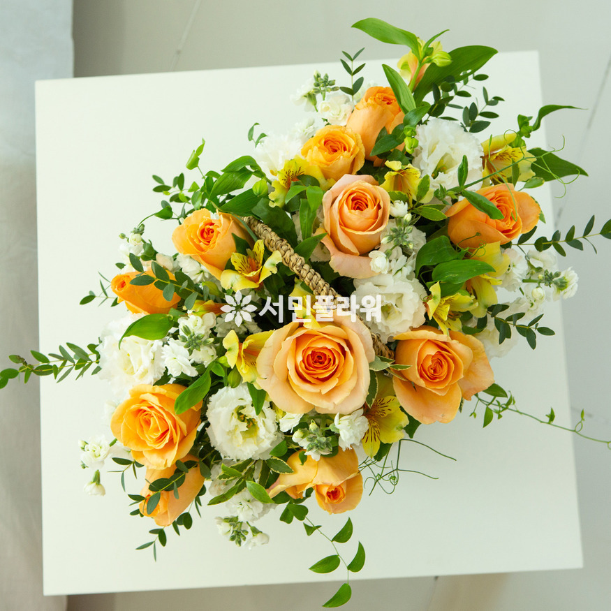 상세이미지