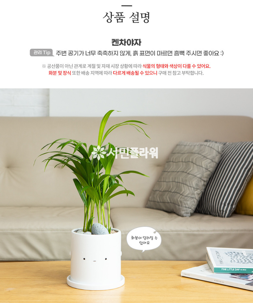 상세이미지
