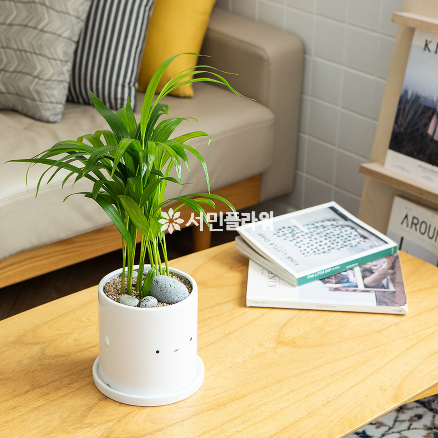 상세이미지