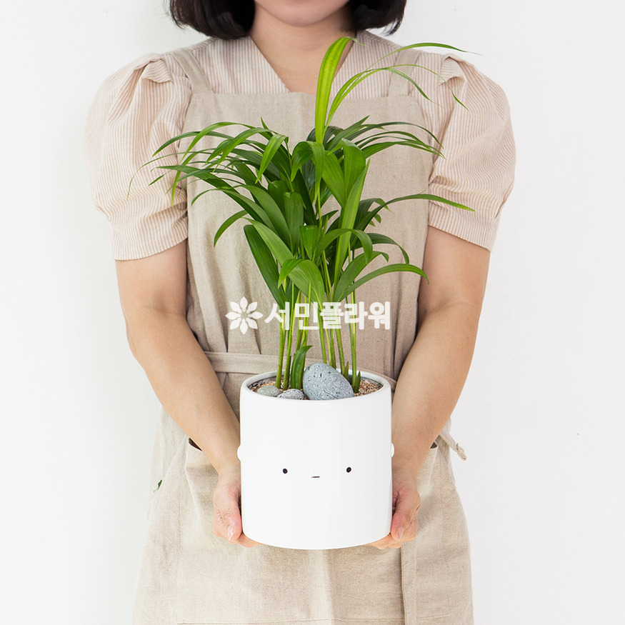 상세이미지