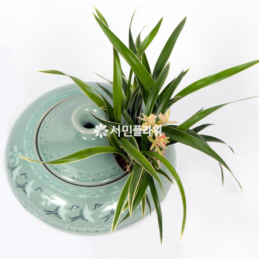 상세이미지