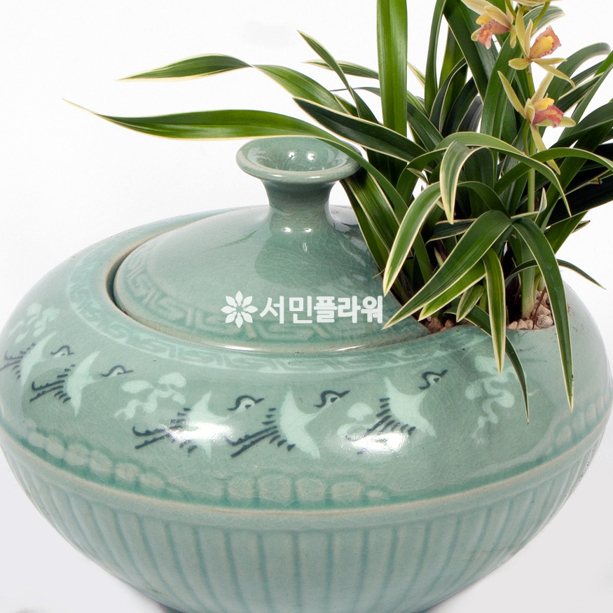 상세이미지