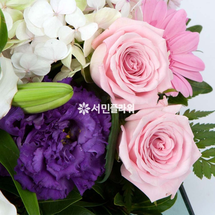 상세이미지