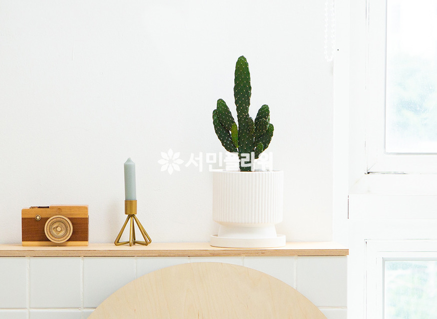 상세이미지