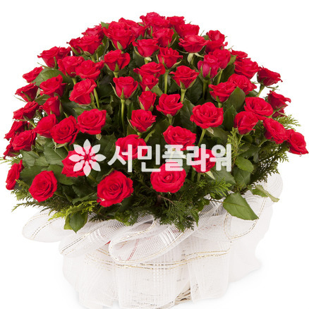 100송이 빨간장미100송이 (가격문의)