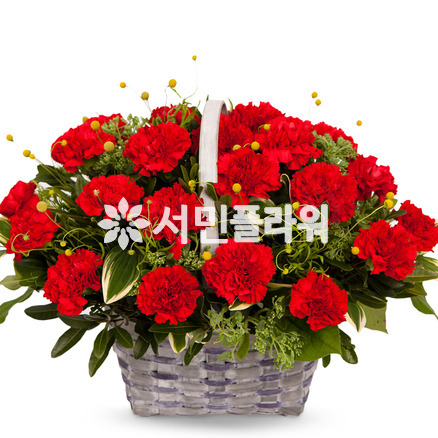 카네이션바구니 301s